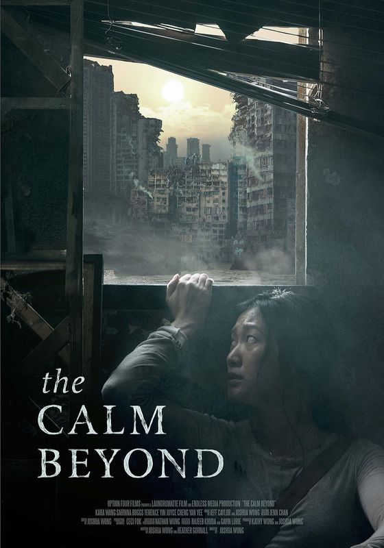 The Calm Beyond                เดอะ คาร์ม บียอร์น                2020