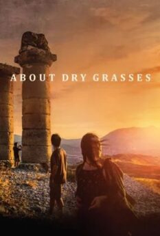 About Dry Grasses                                2023