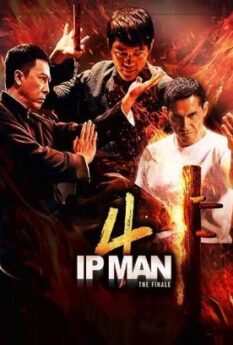 Ip Man 4 The Finale                                2019