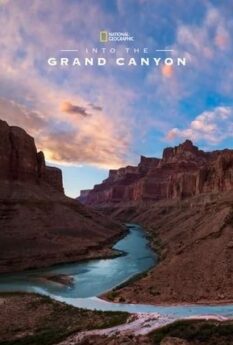 Into the Canyon                                2019