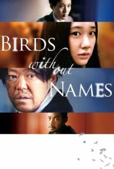 Birds Without Names                                2017