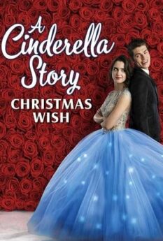 A Cinderella Story Christmas Wish                สาวน้อยซินเดอเรลล่า คริสต์มาสปาฏิหาริย์                2019