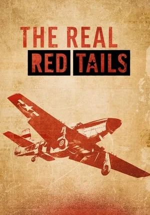 The Real Red Tails                                2024