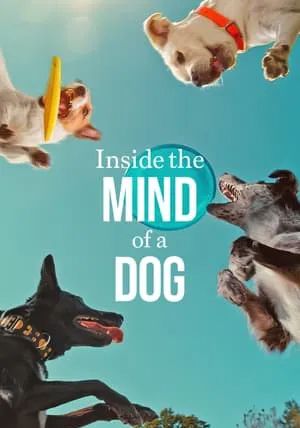 Inside the Mind of a Dog                อ่านใจสุนัข                2024